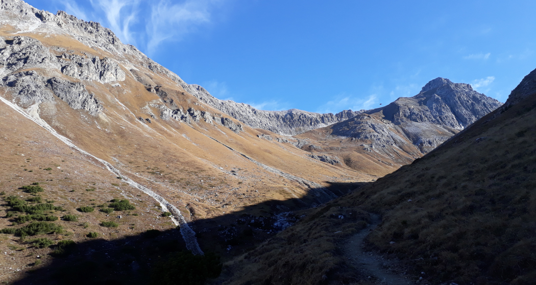 Muot Surrent (oua_27126727_image) Muot Surrent (oua_27126727_image)