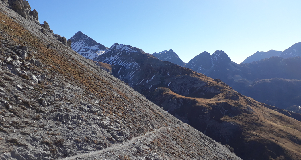 Muot Surrent (oua_27126728_image) Muot Surrent (oua_27126728_image)