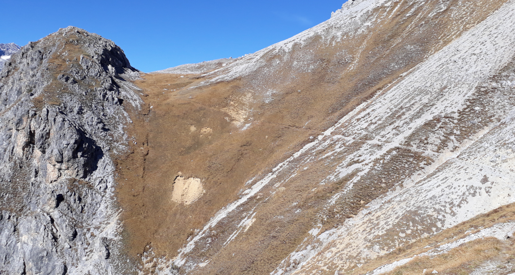 Muot Surrent (oua_27126729_image) Muot Surrent (oua_27126729_image)